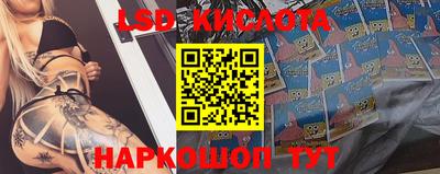 стафф Заводоуковск