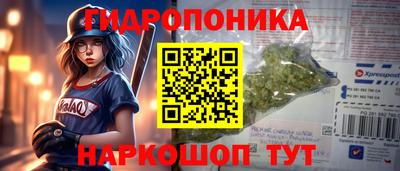 стафф Заводоуковск