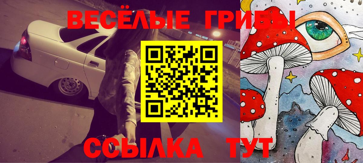 Галлюциногенные грибы Psilocybine cubensis Лабинск